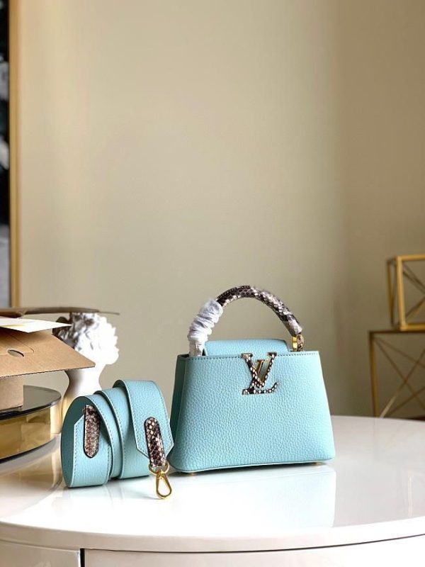 Louis Vuitton Capucines Mini