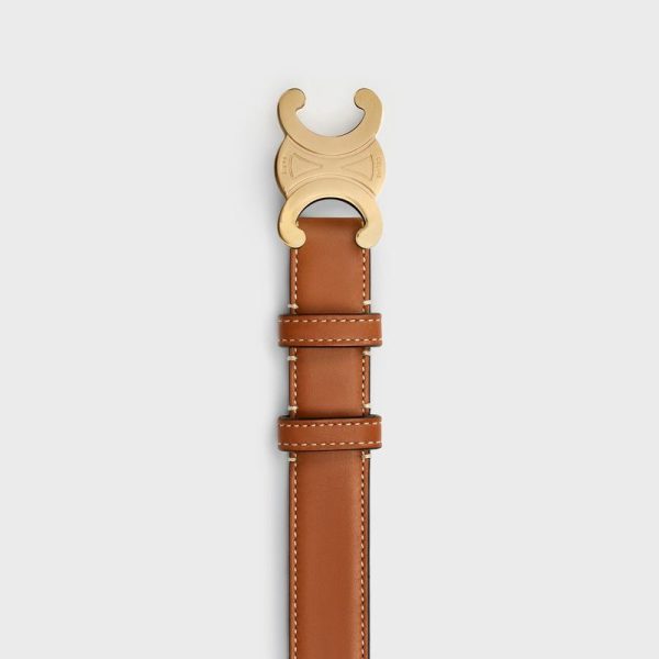 Celine Small Triomphe Belt - Image 11