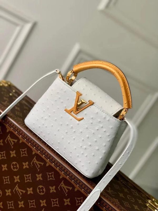 Louis Vuitton Ostrich Capucines Handbag - Image 3