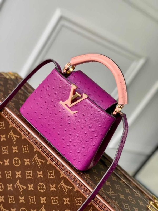 Louis Vuitton Ostrich Capucines Handbag - Image 2