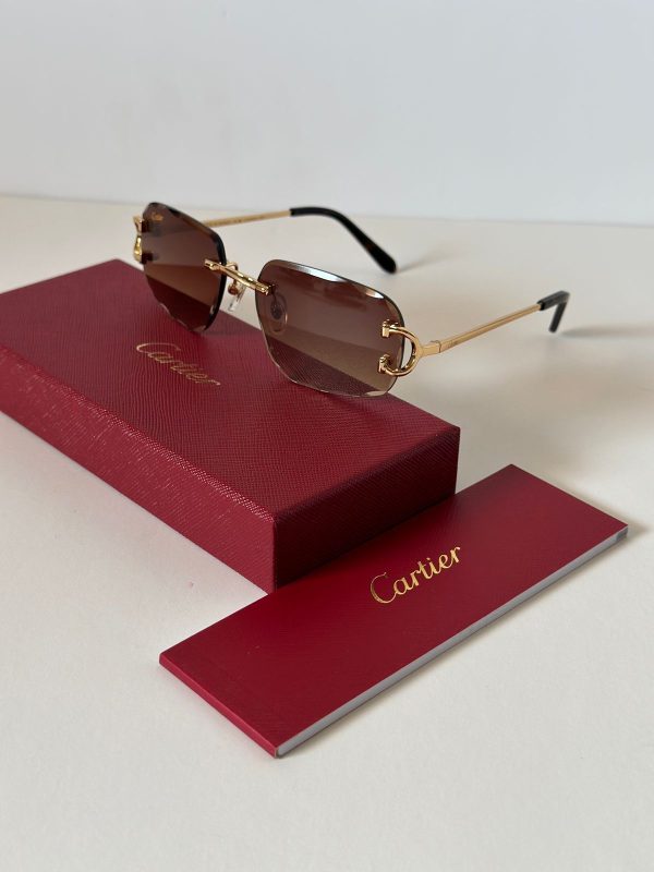 Cartier C Décor Metal Sunglasses
