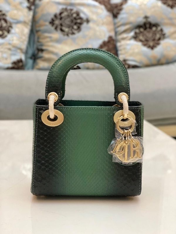 Cristian Dior Lady Dior Crocodile Handbags - Image 12