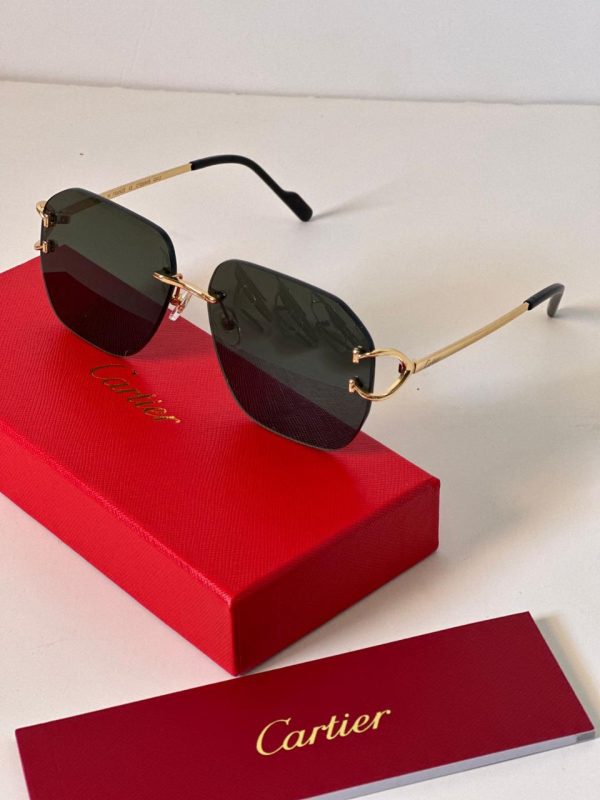 Cartier Women's CT0359S Sunglasses - Image 6
