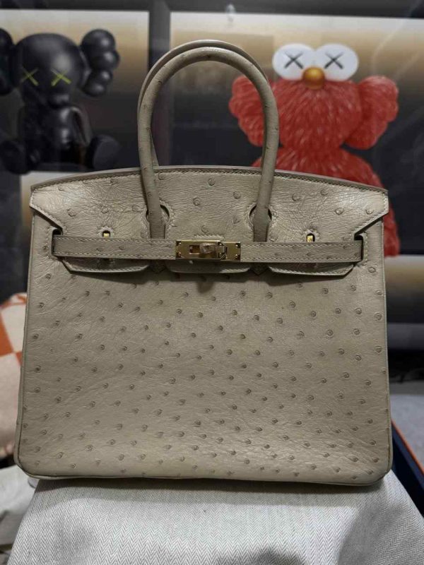 hermes ostrich birkin​ 25 light grey