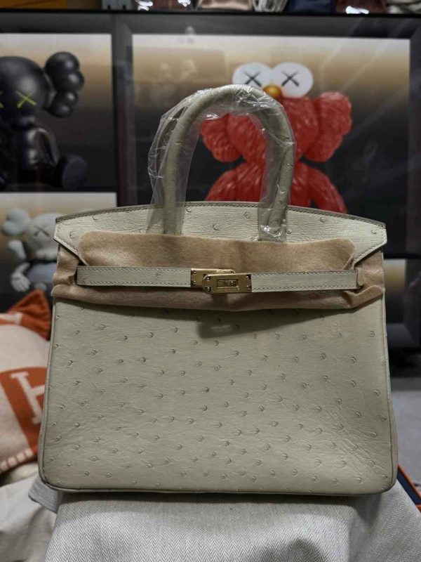 Hermes Ostrich Birkin 25 In Dubai - Image 11