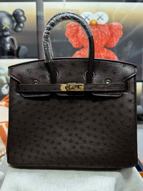 hermes ostrich birkin​ 25 black