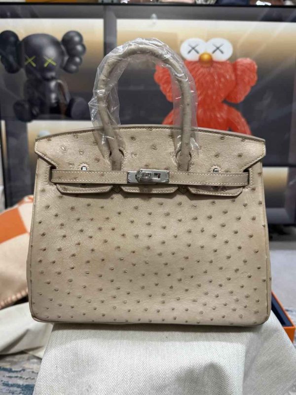 hermes ostrich birkin​ 25 off white
