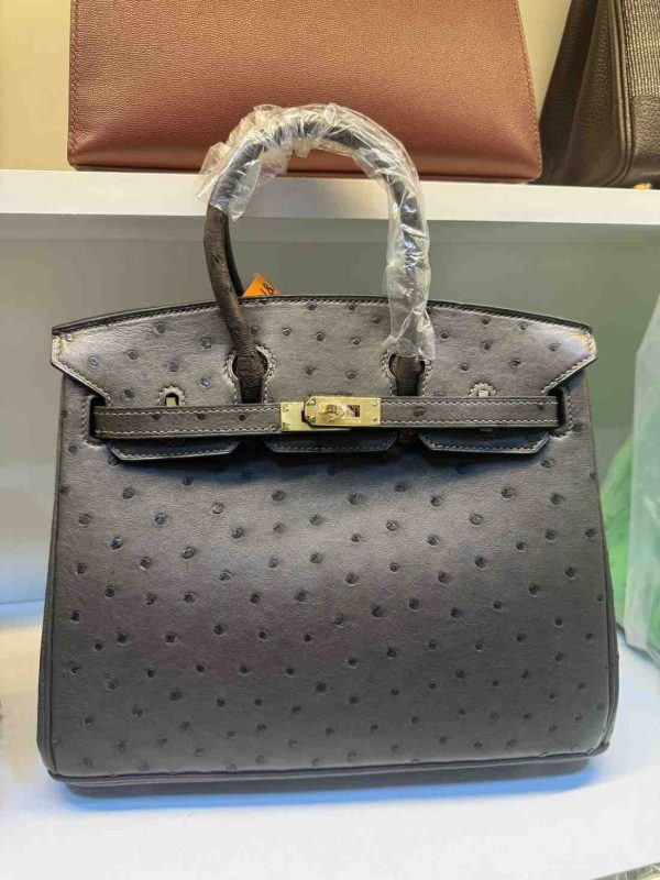 hermes ostrich birkin​ 25 grey