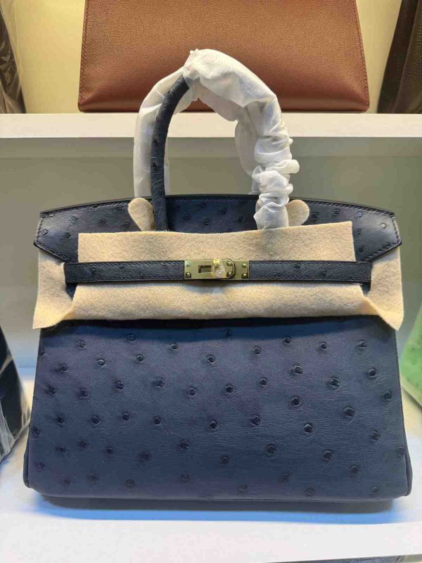 Hermes Ostrich Birkin 25 In Dubai - Image 22