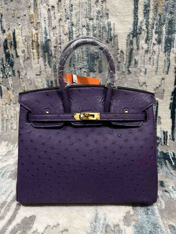 hermes ostrich birkin​ 25 dark purple