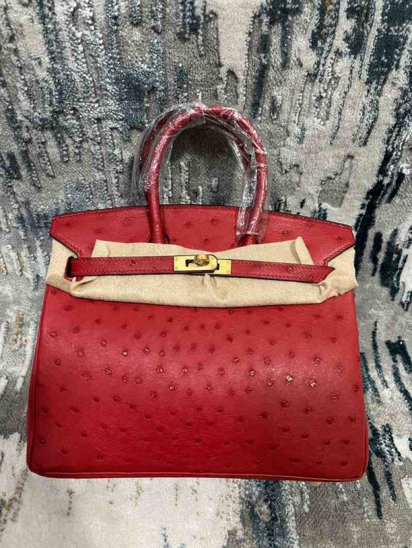 hermes ostrich birkin​ 25 red