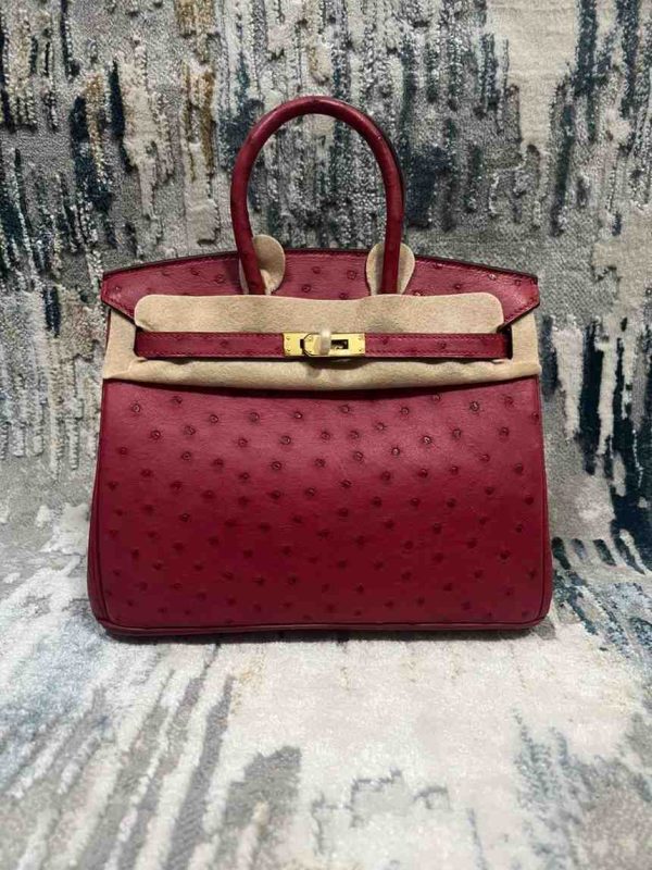 hermes ostrich birkin​ 25 red
