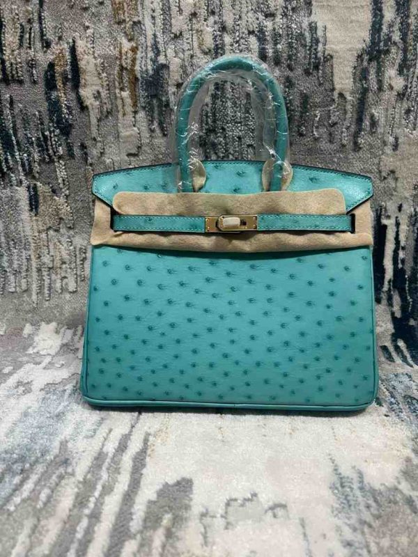 hermes ostrich birkin​ 25 pastel blue
