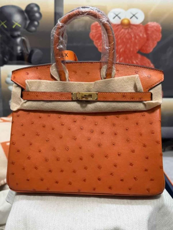 hermes ostrich birkin​ 25 orange