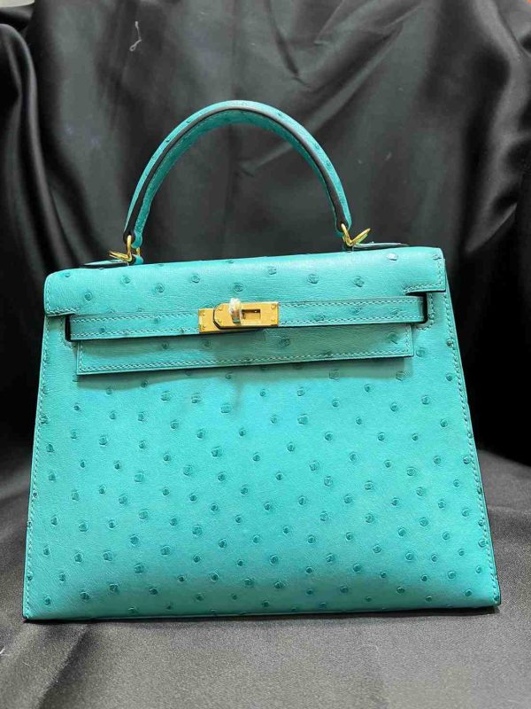 hermes ostrich sellier 25 Vert Verone colour