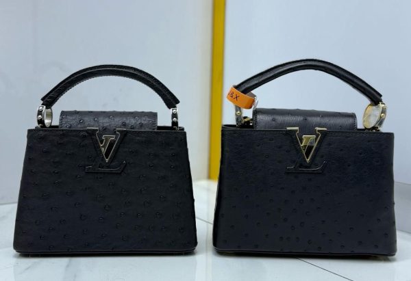Luis vuitton ostrich capucines bag black