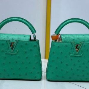 Luis vuitton ostrich capucines bag green