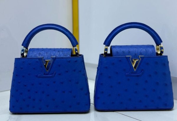 Luis vuitton ostrich capucines bag blue