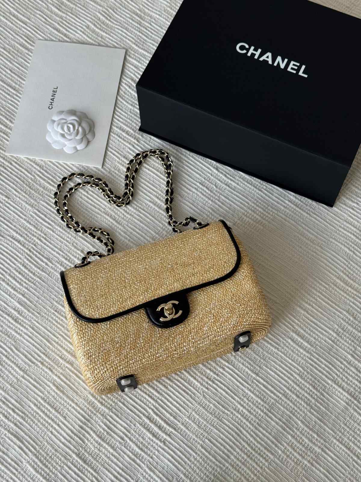 Chanel Raffia Flap Bag Leather Trim And Light Gold Hardware - Image 2