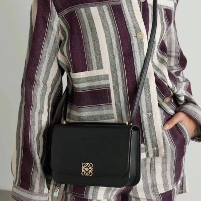 IMG_4979 Loewe Goya bag