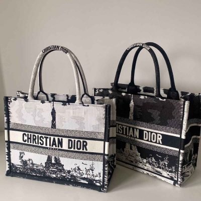 Dior Book Tote