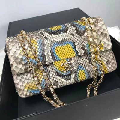 Chanel rare python multicolour flap bag