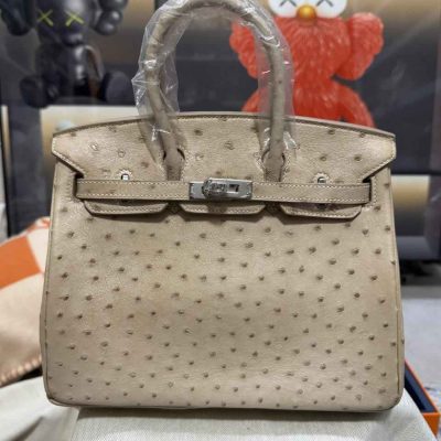 hermes ostrich birkin​ 25 off white