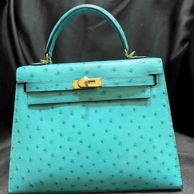 hermes ostrich sellier 25 Vert Verone colour